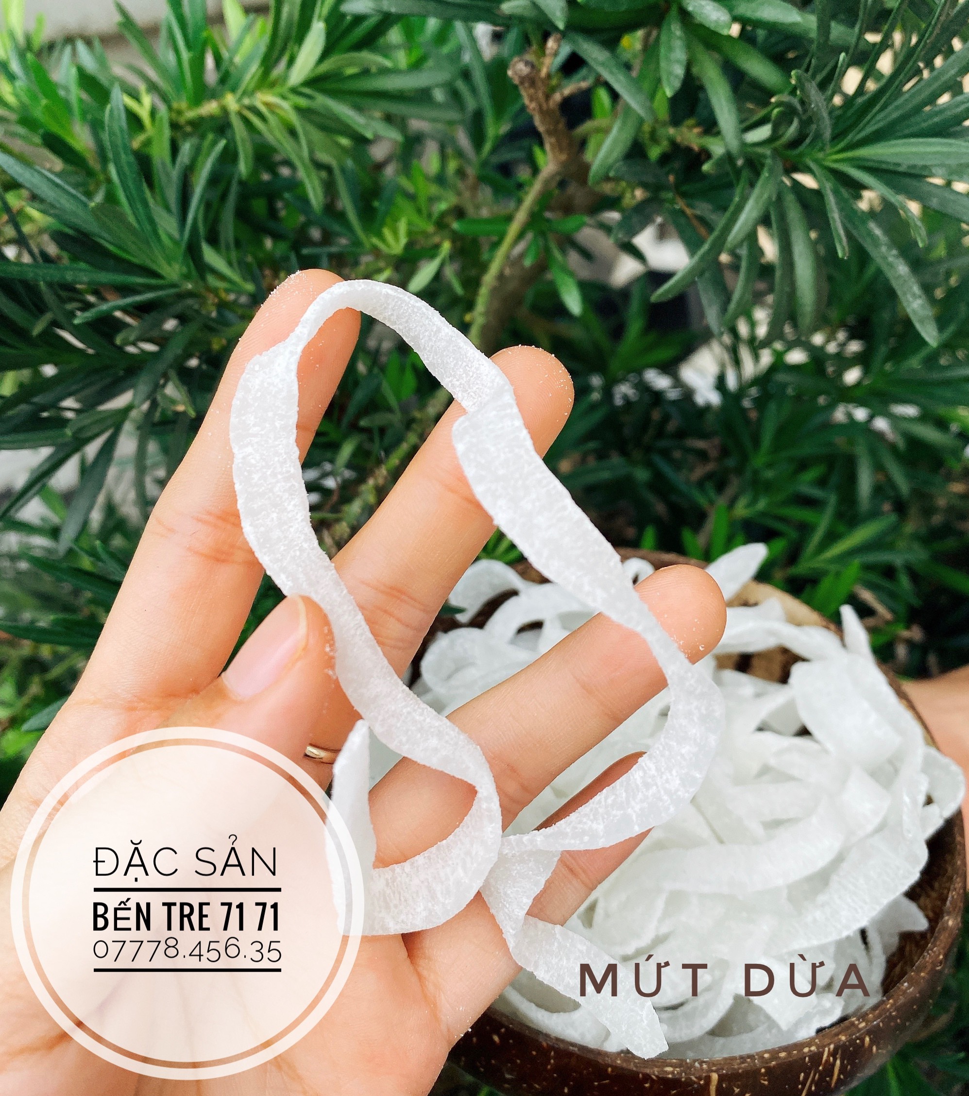 [LOẠI 1] MỨT DỪA - ĐẶC SẢN BẾN TRE 71