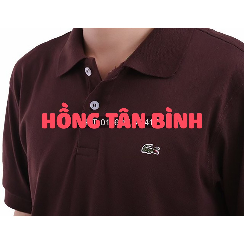 [HCM]Áo thun cá sấu Nữ Cao Cấp Cotton co giãn 4 chiều