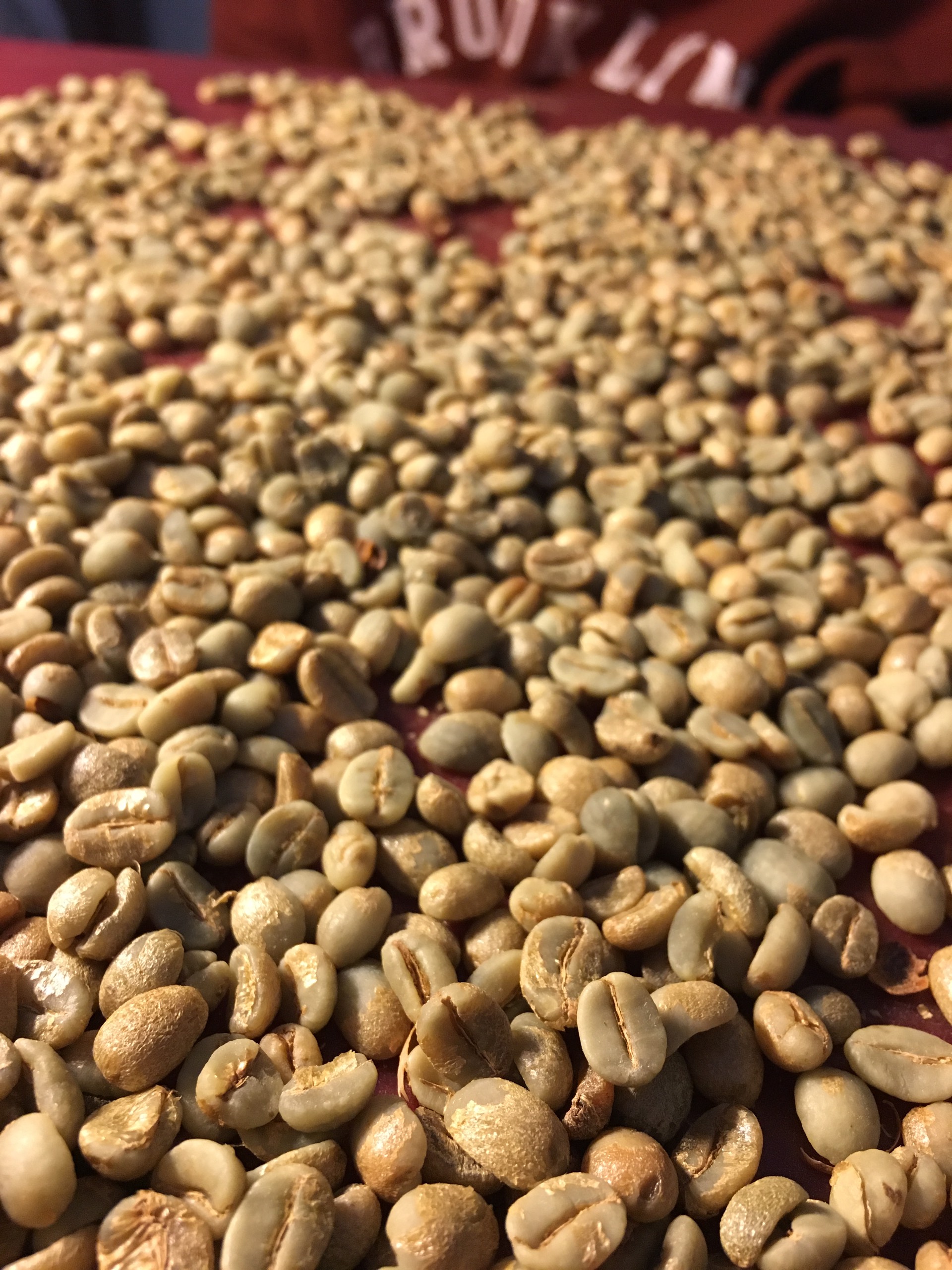 Cà phê nhân xanh hạt chưa rang arabica Sơn La 1kg natural