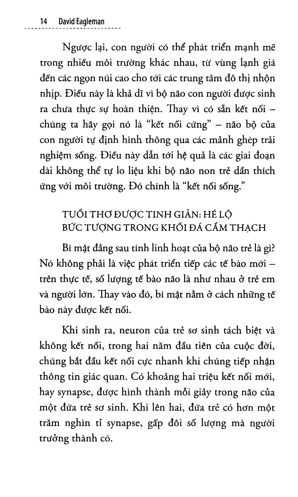 Sách - Não bộ kể gì về bạn?