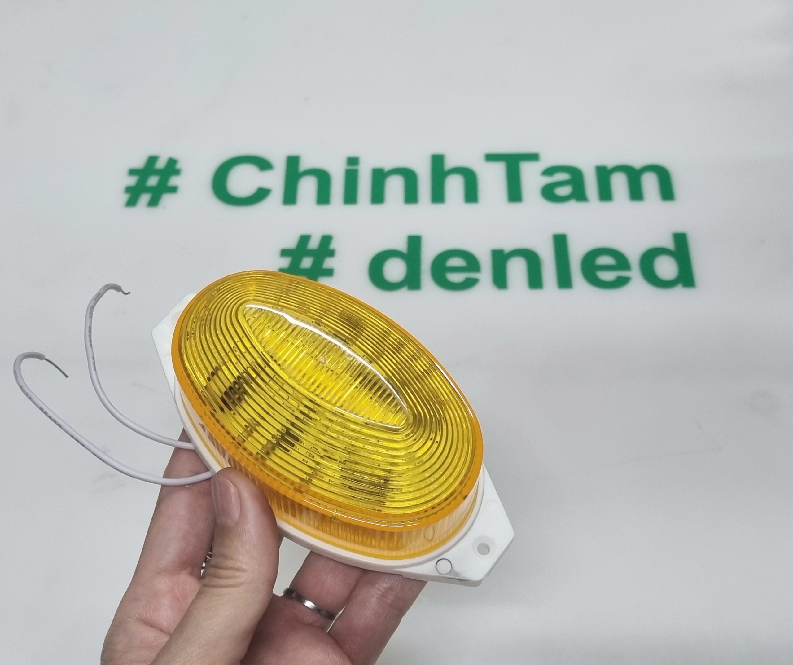 Combo 5 đèn chớp sấm sét flash lamp 220Vac