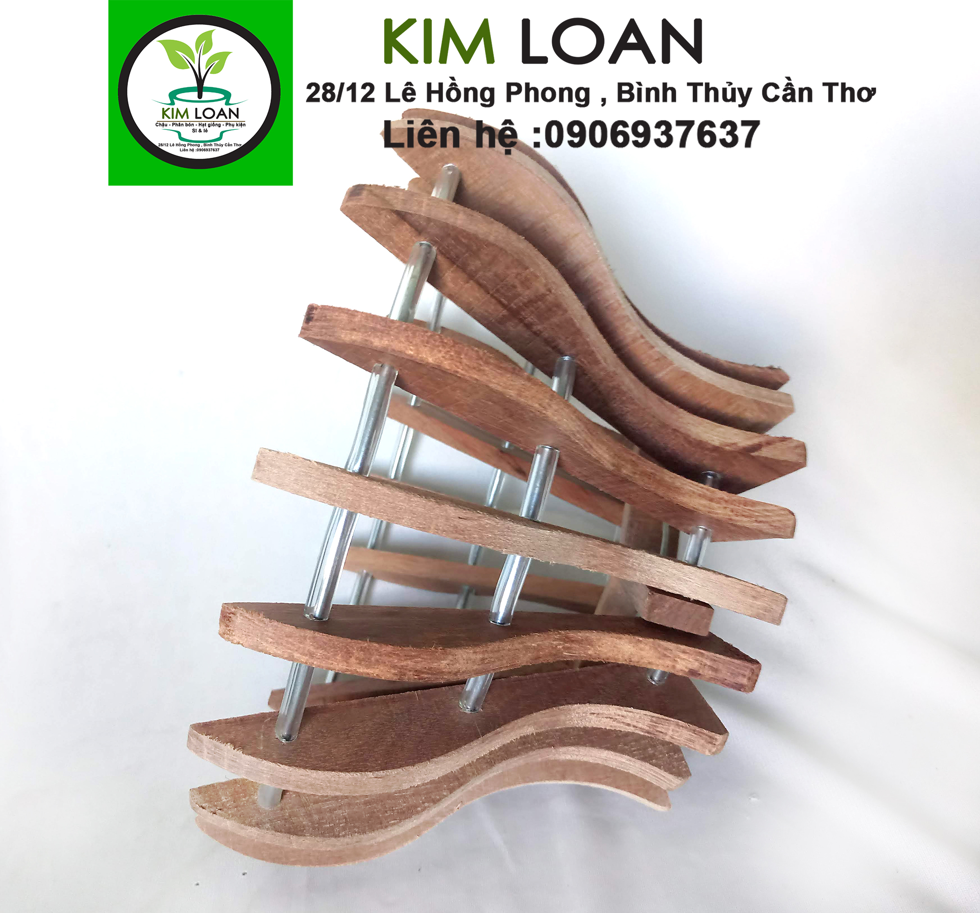 Combo 4 chậu lan gỗ hình cốc 26x15cm