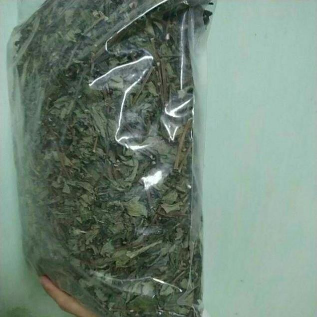 1 kg Cây bọ mắm, cây  dòi khô