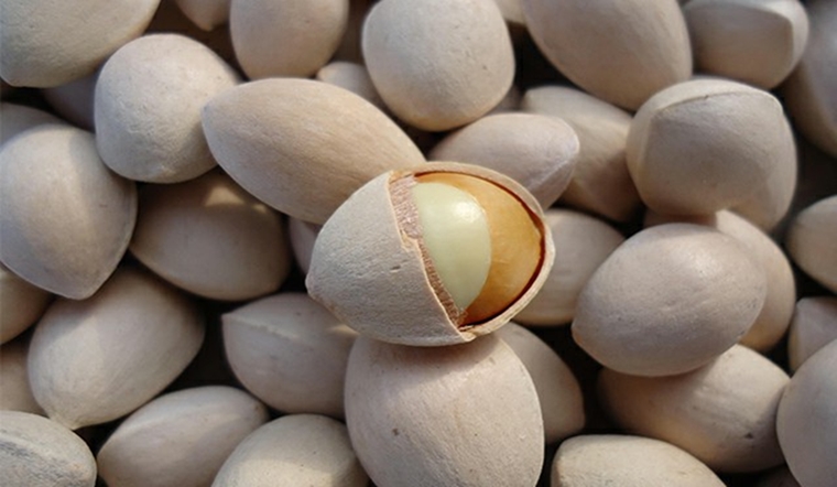 Bạch Quả Tự Nhiên