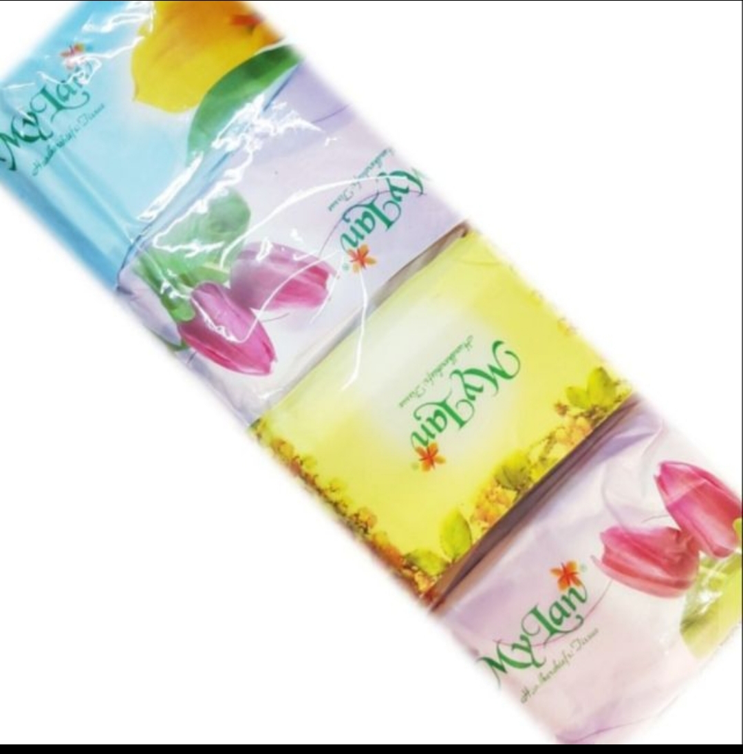 Lốc 10 gói khăn bóp mỹ lan