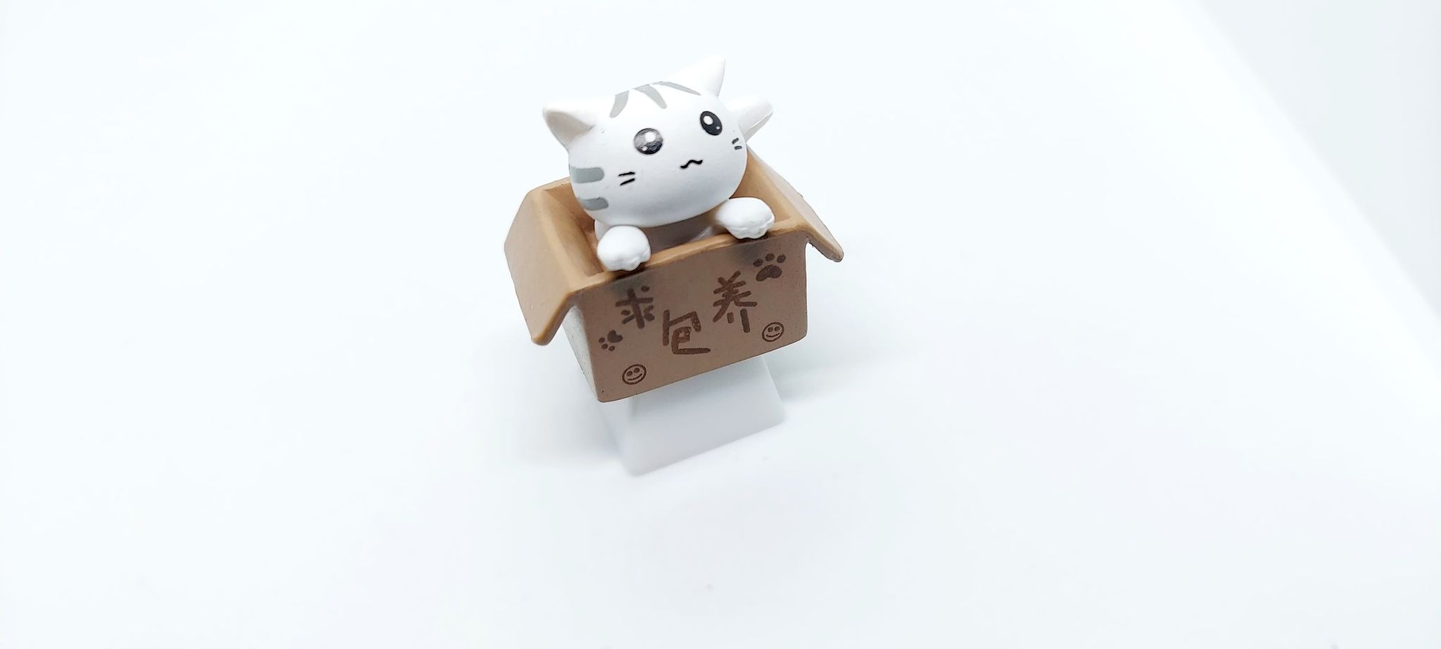 xả lỗ Keycap Cat in box trang trí bàn phím cơ gaming.