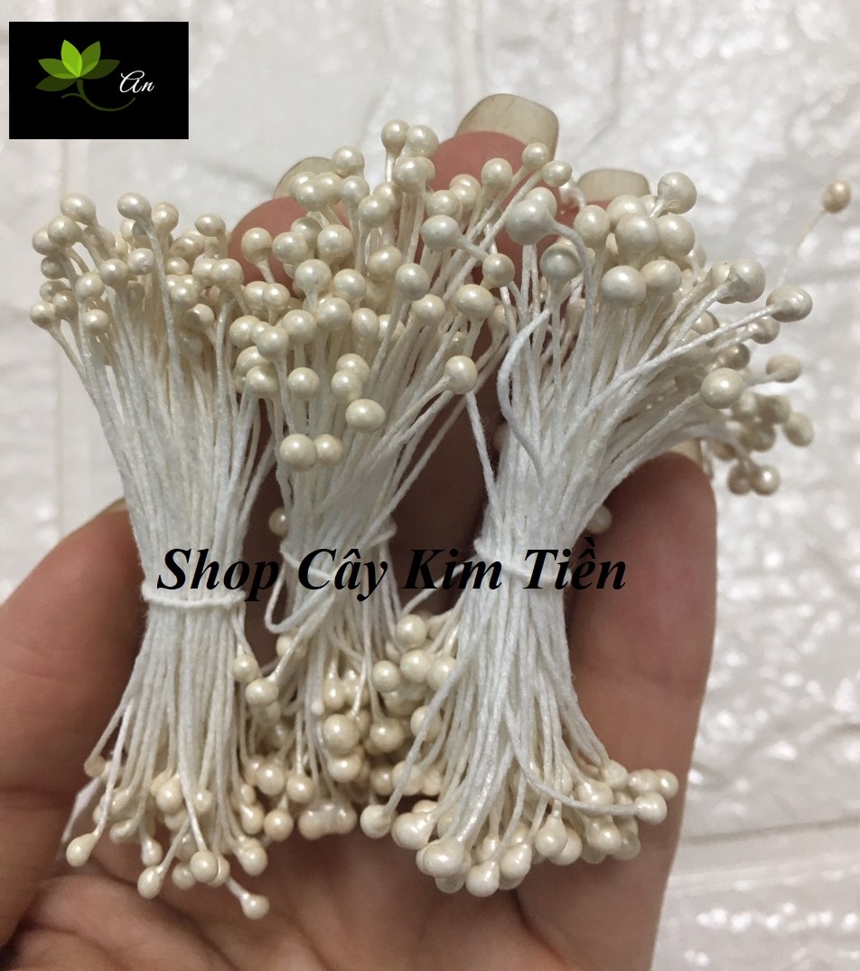 Nhị làm hoa voan các loại