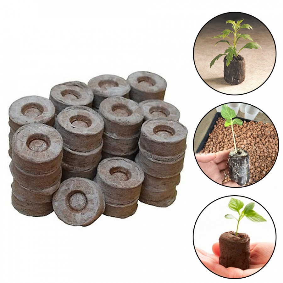 10 Viên Nén Xơ Dừa Ươm Hạt Trồng Cây (304.F1)