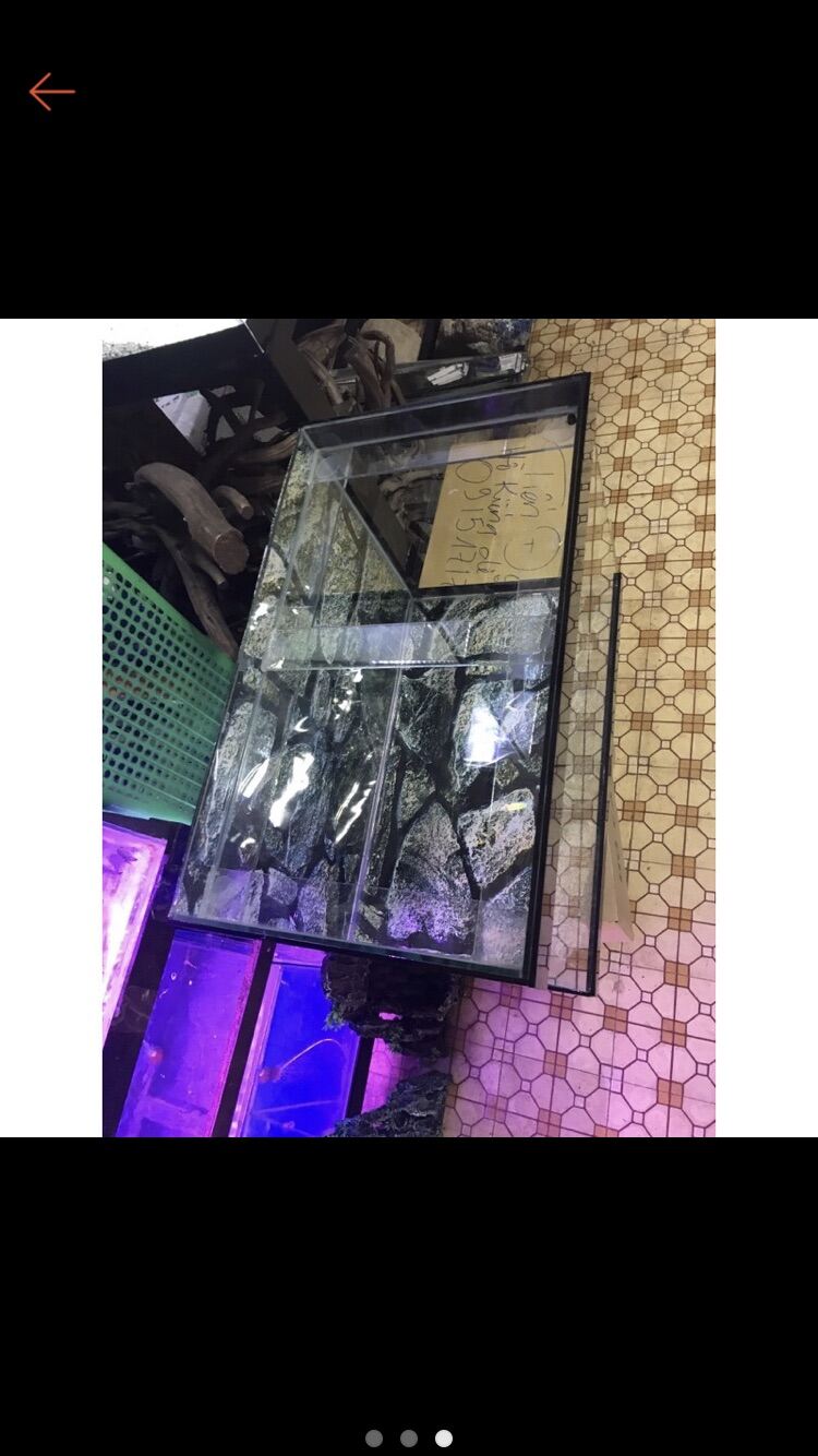 [FreeshipMAX] Hồ cá . Bể cá. Rẻ đẹp bền . 50 * 35 * 35