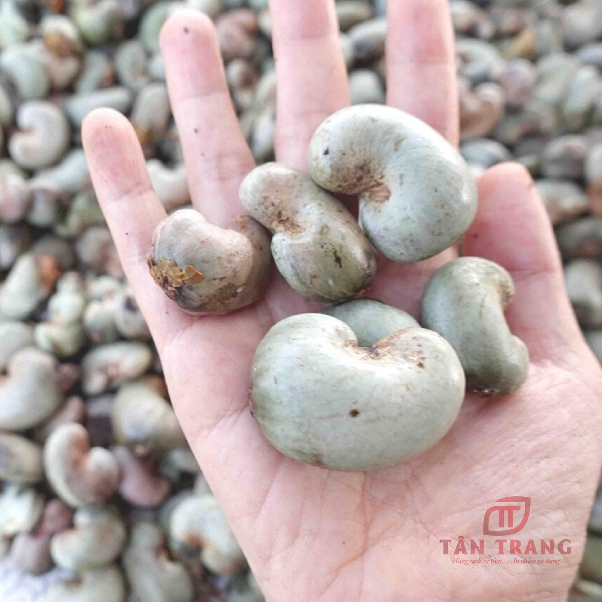 HẠT ĐIỀU RANG MUỐI ĐẶC BIỆT | 500gr