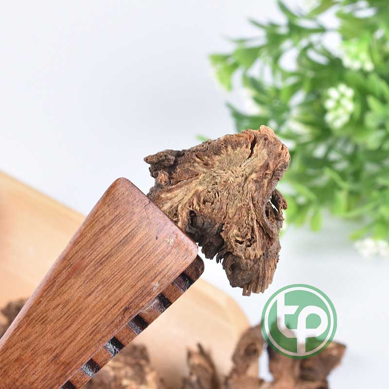 Khương hoạt khô 100g - tấn phát