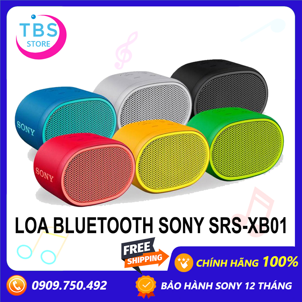 Loa Bluetooth Sony Extra Bass SRS-XB01 - Hàng chính hãng sony Việt Nam - Bảo hành 12 tháng