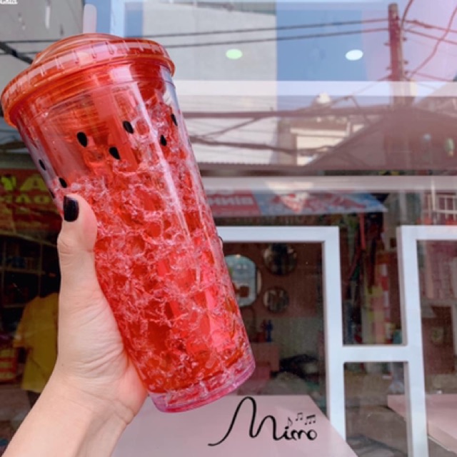 Bình nước 2 lớp làm mát 650ml kèm ống hút
