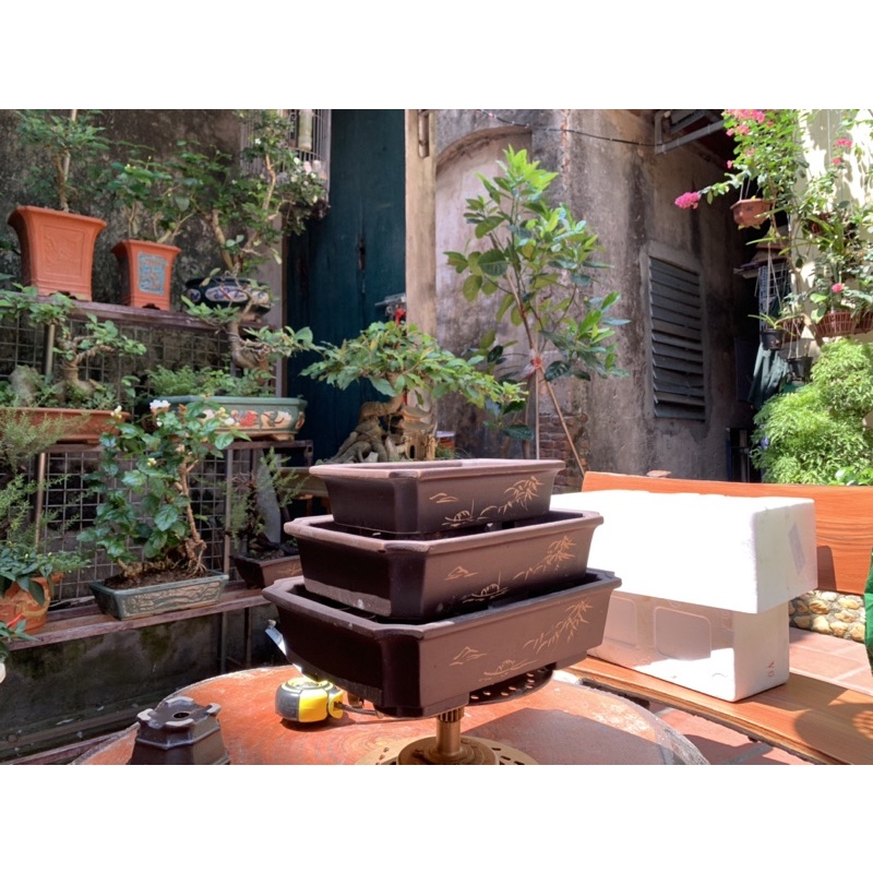 bộ 3 chậu chữ nhật khắc lá trúc