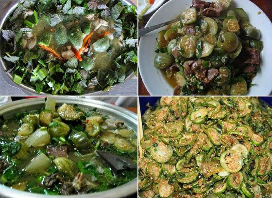 1kg cà đắng tây nguyên (đặc sản)
