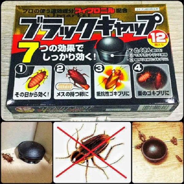 Hộp 12 viên thuốc diệt gián - Hàng nhập khẩu Nhật Bản