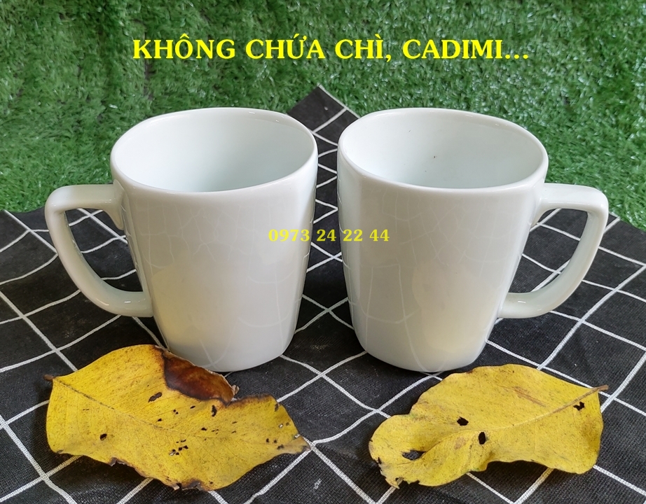 CỐC SỨ TRẮNG LY SỨ LY NƯỚC