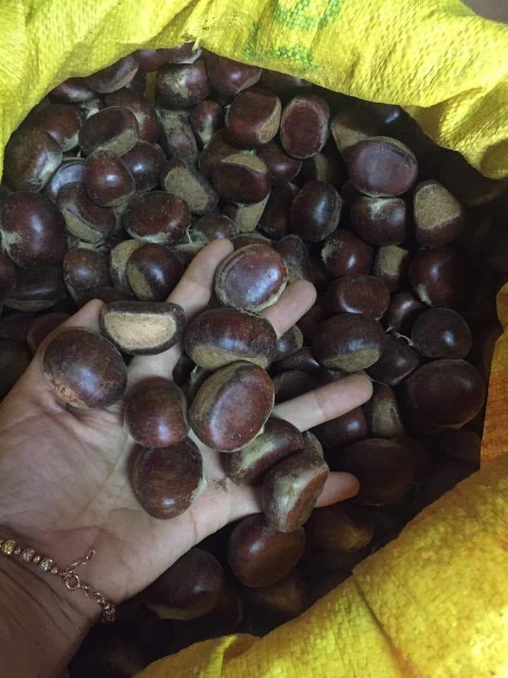 combo 2kg hạt dẻ sống