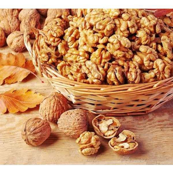 [HCM]Nhân Hạt Óc Chó Mourad túi 500g