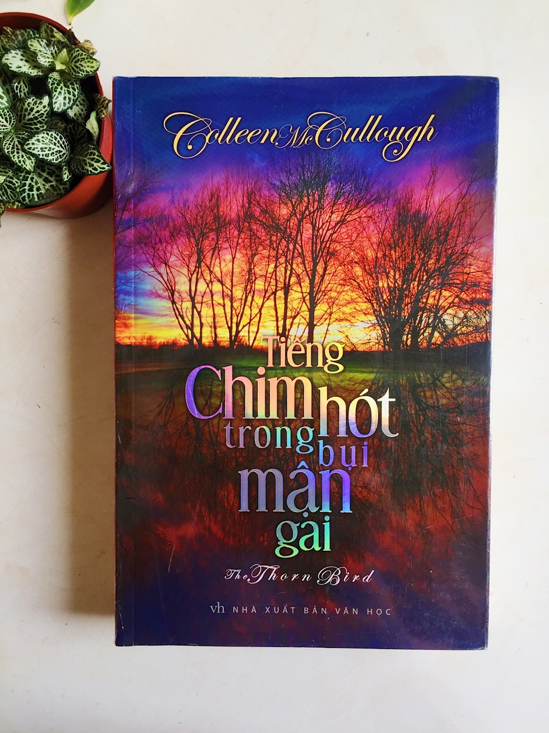 Tiếng Chim Hót Trong Bụi Mận Gai