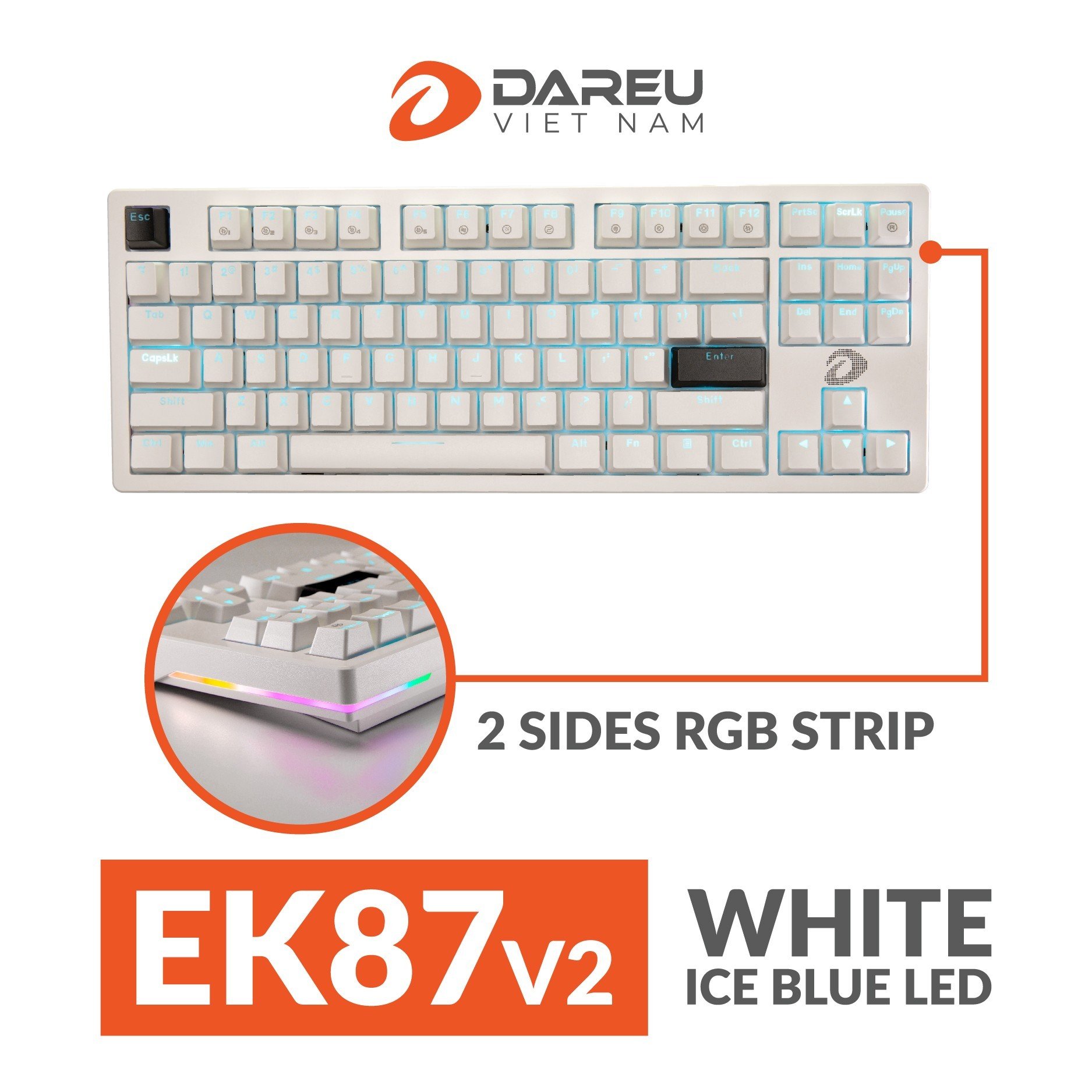Bàn phím cơ DAREU EK87 Đen / Trắng / Hồng (Multi Led, Blue/ Brown/ Red D switch)