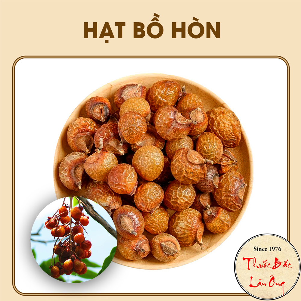 Qủa bồ hòn tách hạt 100g – Thuốc bắc lãn ông