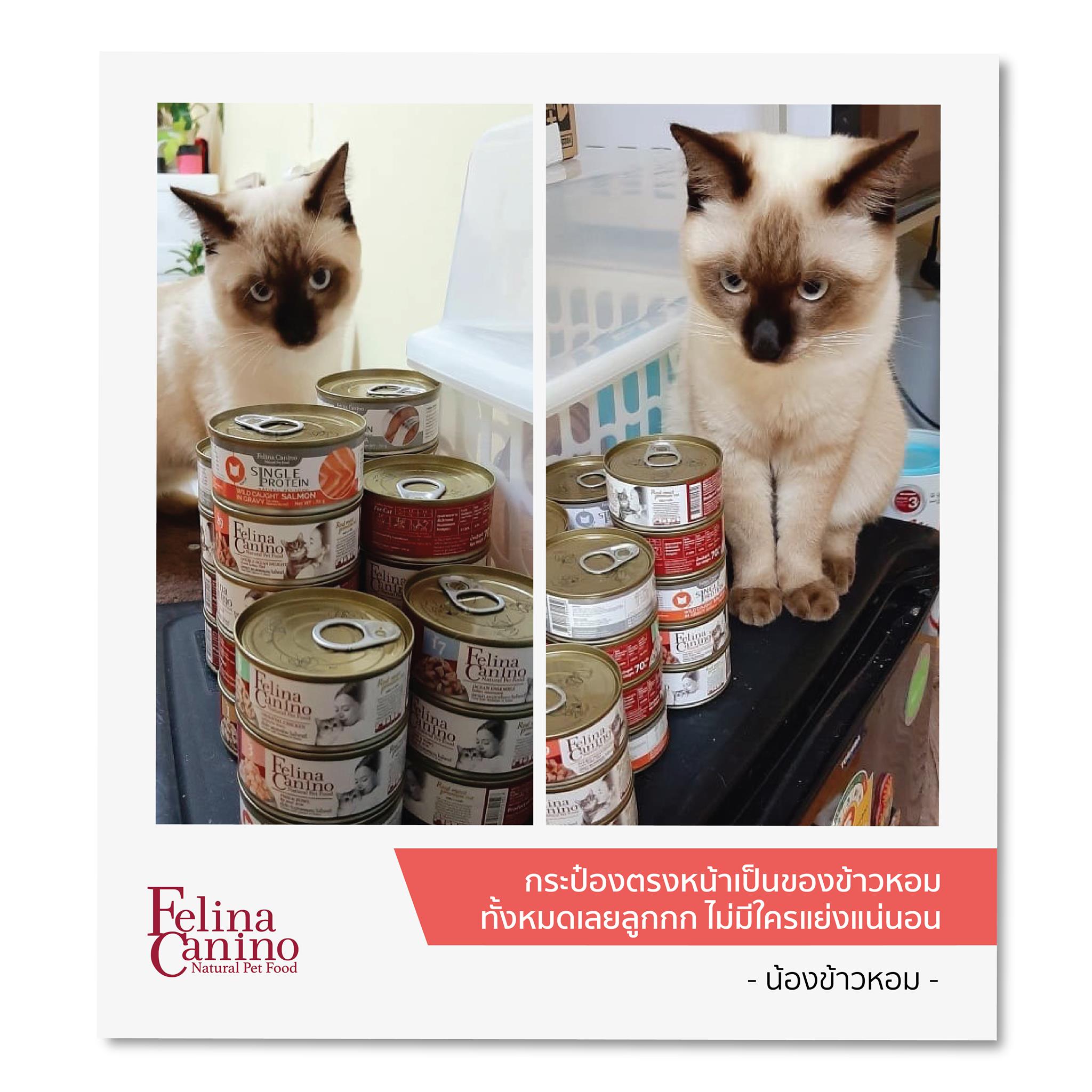 Felina Canino Wet Food with Meat Pieces and Stewed Broth for Cats