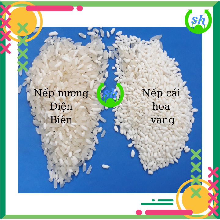 [HCM]Nếp nương Điện Biên/ nếp mèo - 1kg