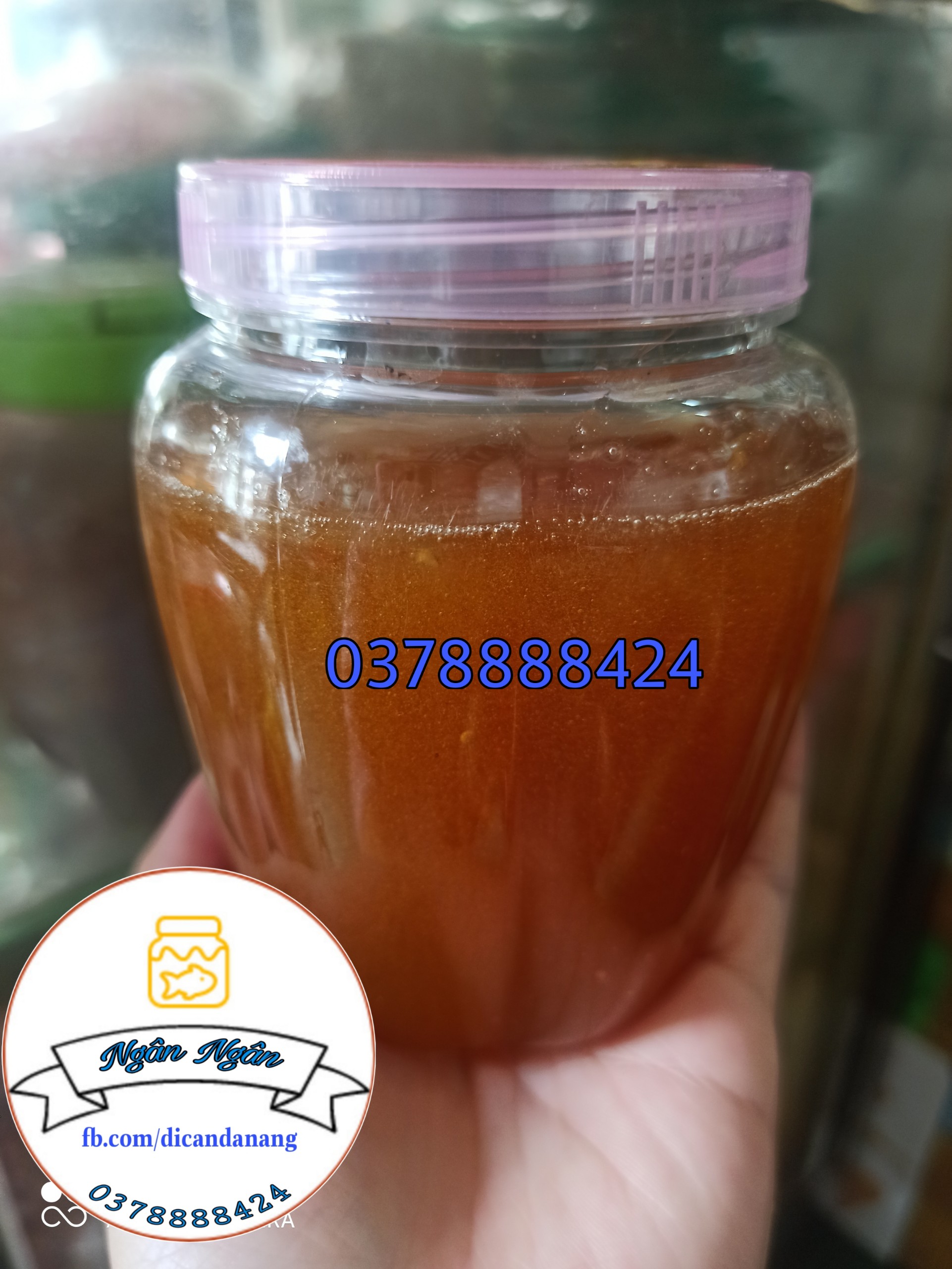 [HCM]Mạch nha Kim Hà hủ 500g
