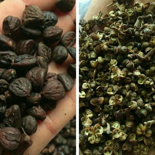 combo 50g hạt dổi và 500g mắc khén