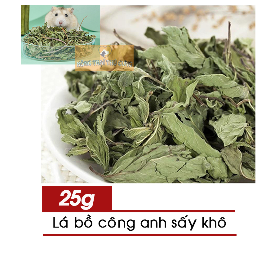 Lá bồ công anh sấy khô cho hamster 25g -