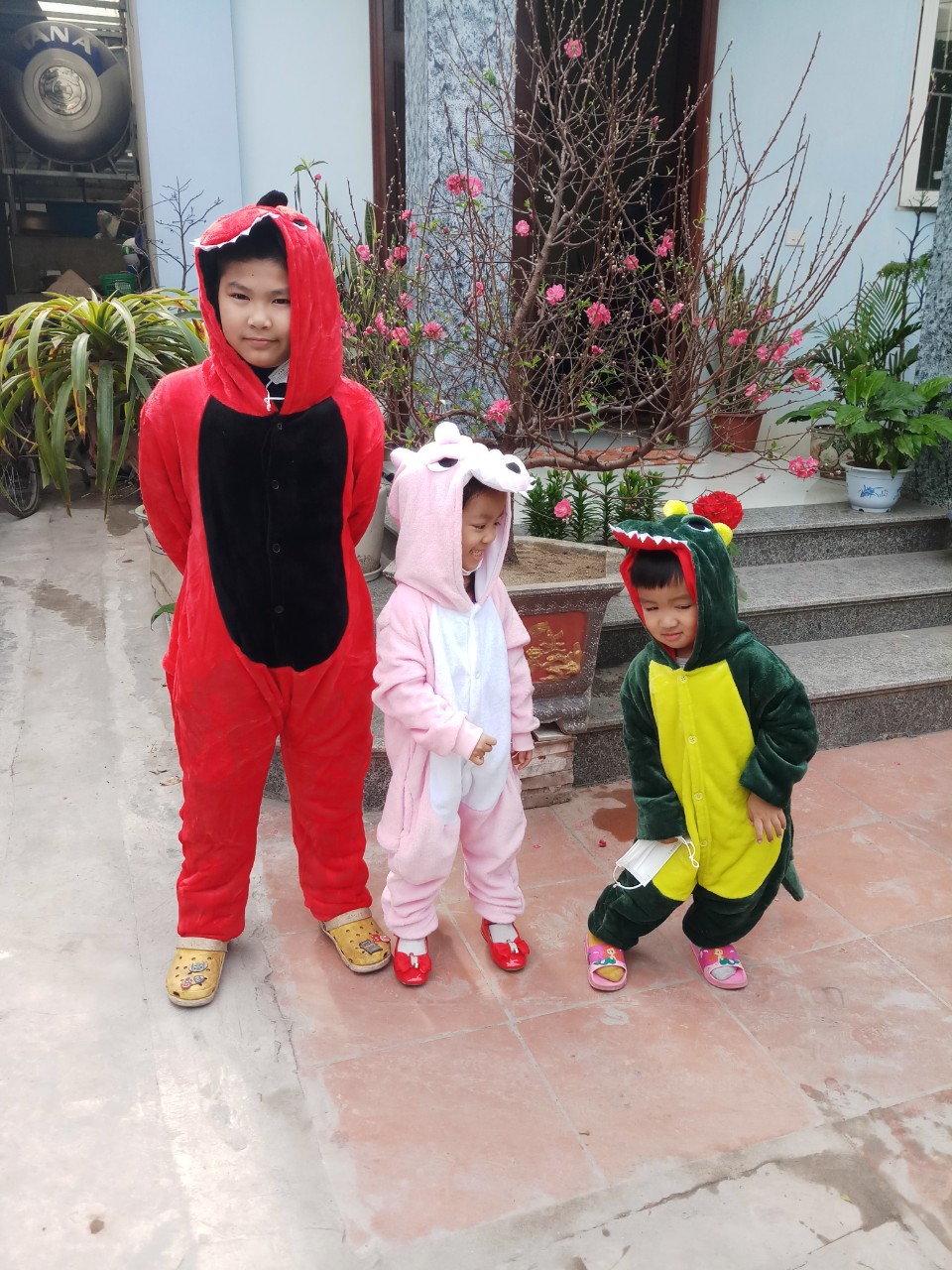 Bộ quần áo khủng long đỏ đủ size cho cả nhà