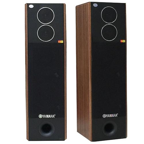 Loa đứng karaoke gia đình PW - 339