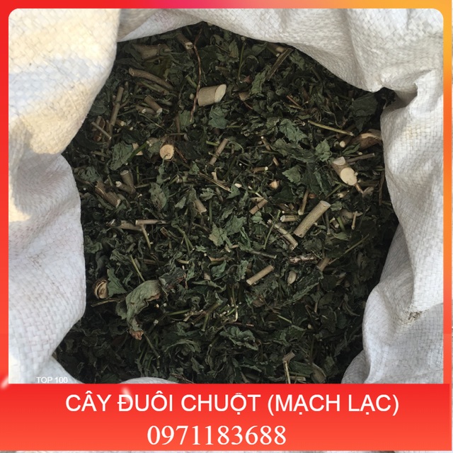 1KG CÂY ĐUÔI CHUỘT HOÀ BÌNH (KHÔ, XANH, SẠCH)