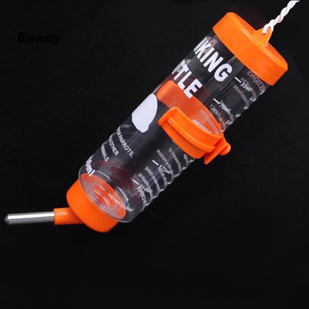 Bình nước bi 250ml cho Hamster, Vẹt, Sóc...