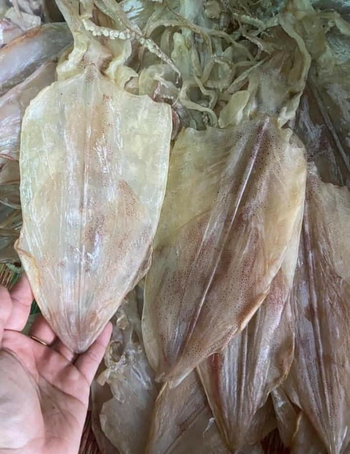 Mực khô size 20 con 1kg túi 500gram
