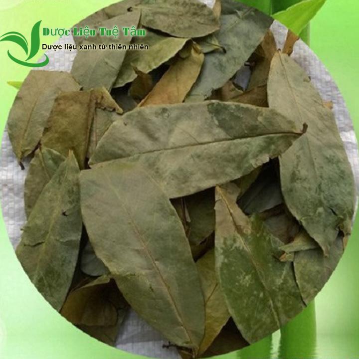 [HCM]1kg lá mảng cầu xiêm - CAO CẤP