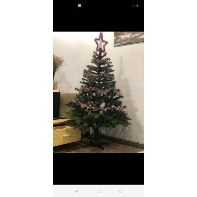 [HCM]CÂY THÔNG NOEL M8 trang trí noel