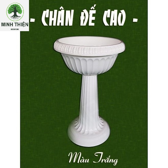 [HCM]Chậu Ly Nhựa Có Chân Đế Cao