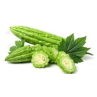 Hạt giống Mướp đắng quả to