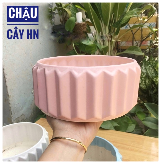 Ceramic staff plant bed table Bowl low interior shape bifurcylated cactus
