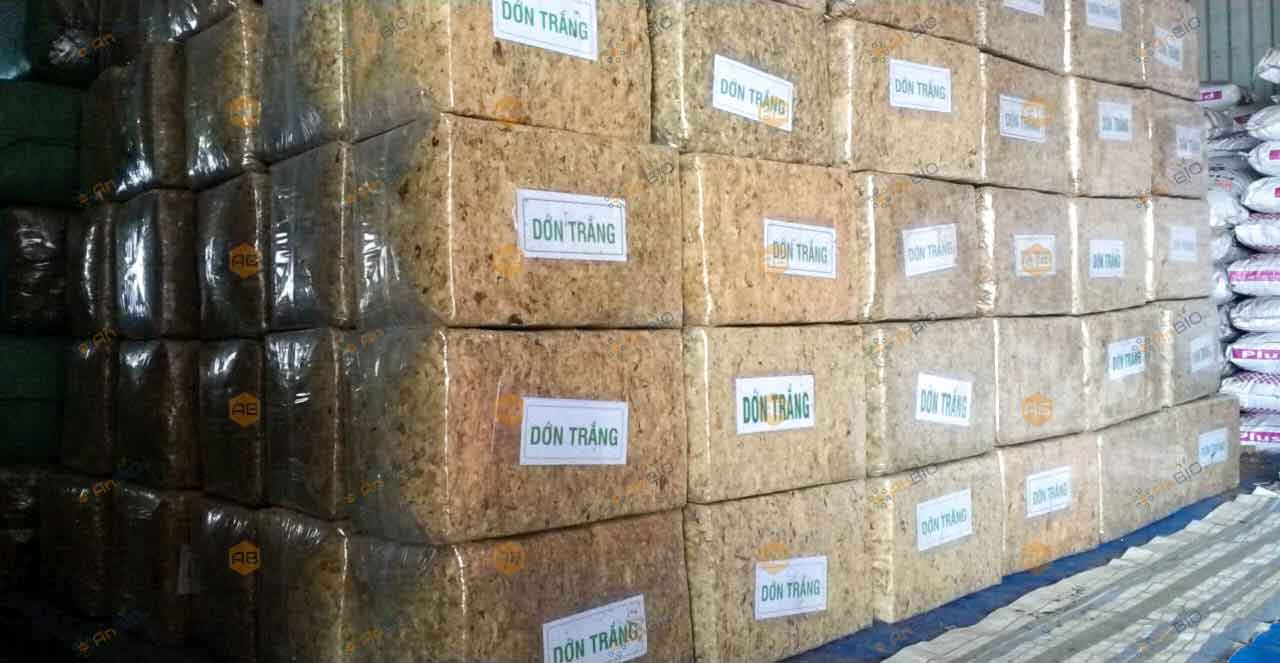 DỚN TRẮNG | KIỆN 5KG