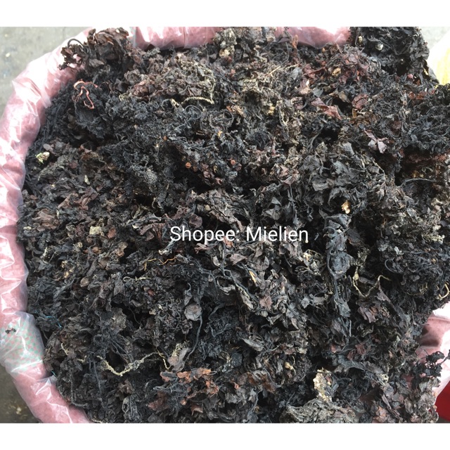 Rong biển nấu sâm 500g - nguyên liệu nấu sâm thanh mát, giải nhiệt