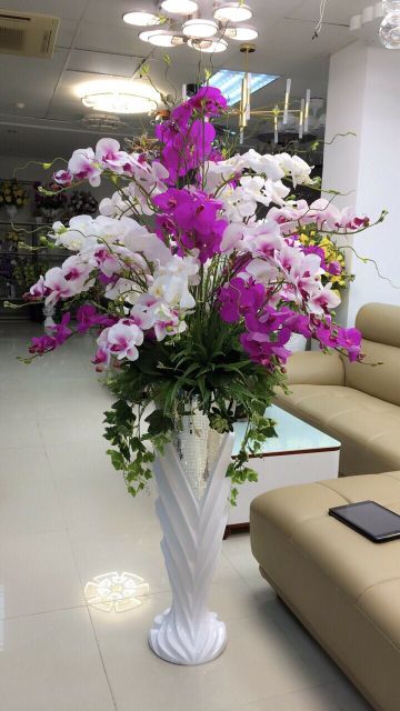 Hoa giả- cụm dương sỉ vòi