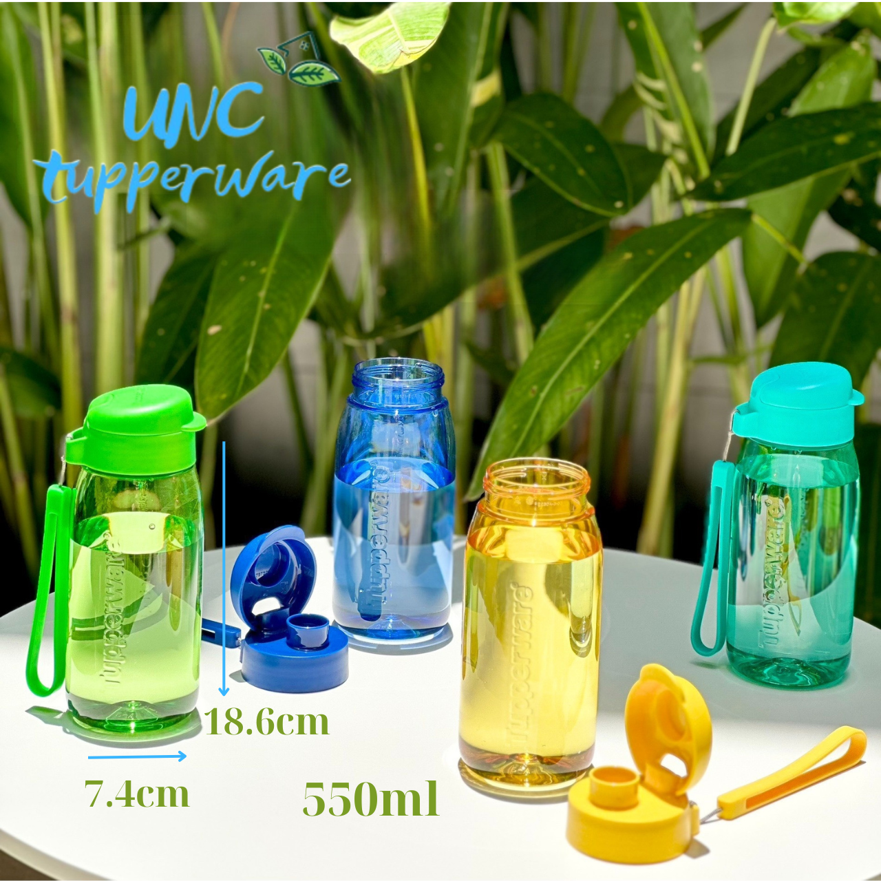 Bình nước Tupperware Lohas Flask 550ml