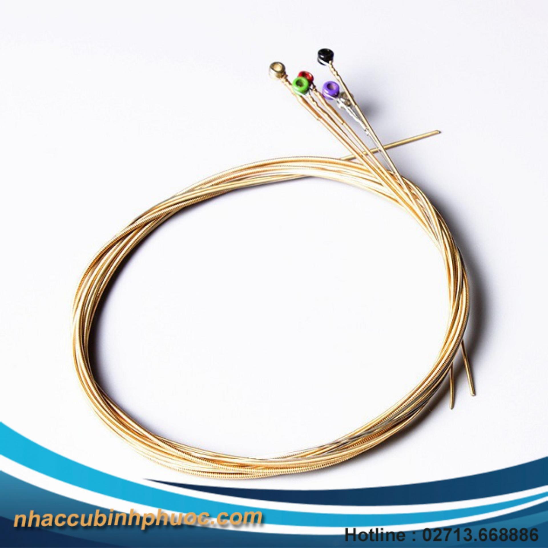 Bộ dây đàn Acoustic EJ26 (Bộ)