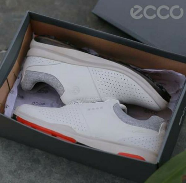 Giày Ecco Golf Biom Hybrid 3 núm vặn - Ecco : mvp skt