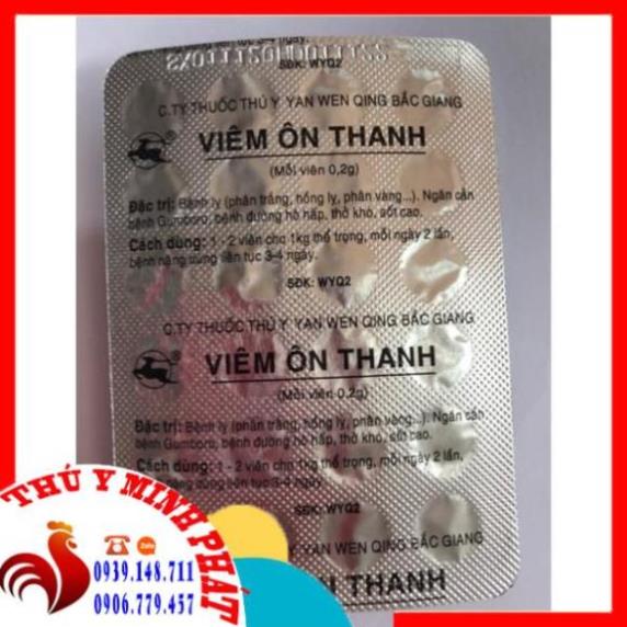 Viêm ôn thanh vỉ 24 viên
