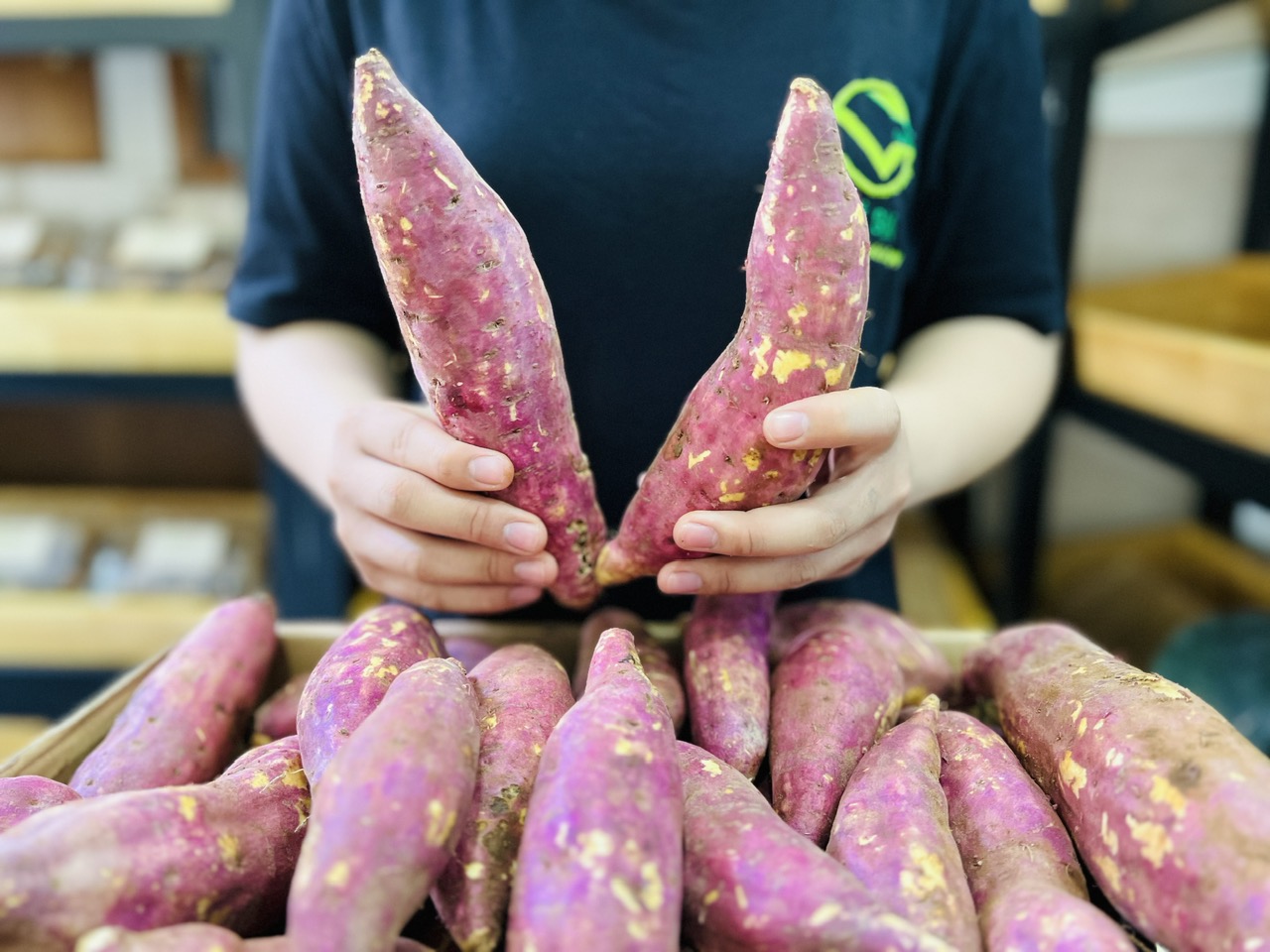 [ GIAO TOÀN QUỐC ] VG FARM Khoai Lang Nhật