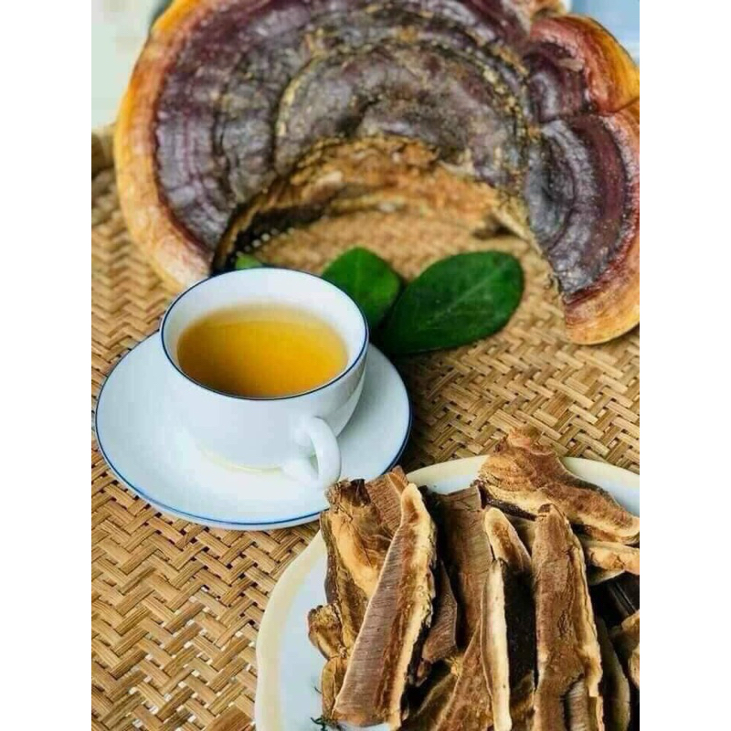 Nấm hồng chi nấm linh chi đỏ (250g-1kg)